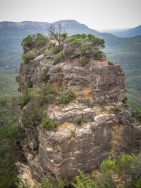 blog_australien_20110207_104410 blog_australien_20110207_104410