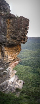 blog_australien_20110207_104759 blog_australien_20110207_104759