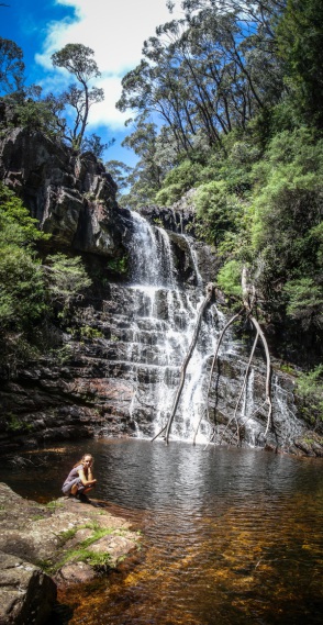 blog_australien_20110209_111810 blog_australien_20110209_111810