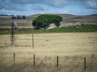 blog_australien_20110215_152555 blog_australien_20110215_152555