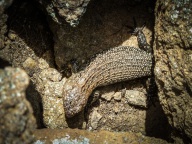 blog_australien_20110215_160755 blog_australien_20110215_160755