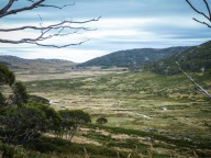 blog_australien_20110216_082404 blog_australien_20110216_082404