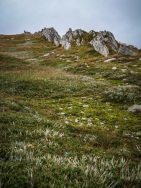 blog_australien_20110216_102803 blog_australien_20110216_102803