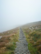 blog_australien_20110216_121840 blog_australien_20110216_121840