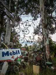 blog_australien_20110216_193820 blog_australien_20110216_193820