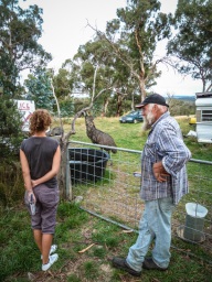 blog_australien_20110216_194640 blog_australien_20110216_194640