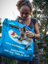 blog_australien_20110216_195421 blog_australien_20110216_195421