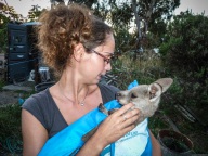 blog_australien_20110216_195727 blog_australien_20110216_195727