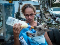 blog_australien_20110216_201004 blog_australien_20110216_201004