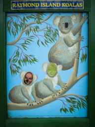 blog_australien_20110217_160115 blog_australien_20110217_160115