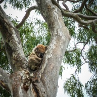 blog_australien_20110217_161200 blog_australien_20110217_161200