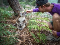 blog_australien_20110217_163000 blog_australien_20110217_163000