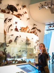 blog_australien_20110222_130812 blog_australien_20110222_130812