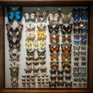 blog_australien_20110222_141231 blog_australien_20110222_141231