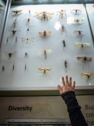 blog_australien_20110222_141439 blog_australien_20110222_141439