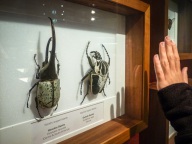 blog_australien_20110222_144807 blog_australien_20110222_144807