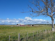 blog_australien_20110227_100903 blog_australien_20110227_100903