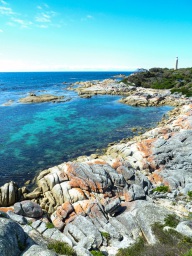 blog_australien_20110227_111345 blog_australien_20110227_111345