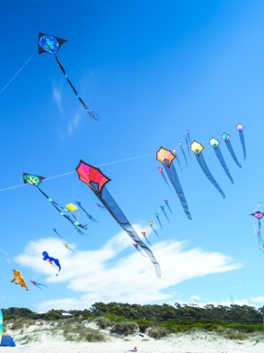 blog_australien_20110227_141200 blog_australien_20110227_141200