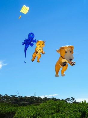 blog_australien_20110227_141617 blog_australien_20110227_141617