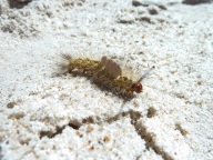 blog_australien_20110228_112332 blog_australien_20110228_112332