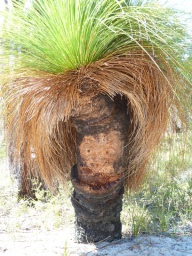 blog_australien_20110228_140120 blog_australien_20110228_140120