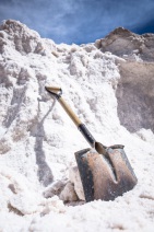 blog_bolpergal_20170424_125155 blog_bolpergal_20170424_125155