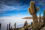 blog_bolpergal_20170424_170405 blog_bolpergal_20170424_170405