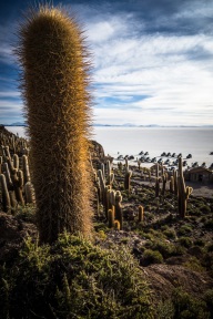 blog_bolpergal_20170424_170748 blog_bolpergal_20170424_170748