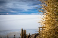 blog_bolpergal_20170424_171125 blog_bolpergal_20170424_171125