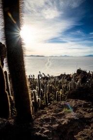 blog_bolpergal_20170424_171424 blog_bolpergal_20170424_171424