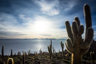 blog_bolpergal_20170424_172053 blog_bolpergal_20170424_172053