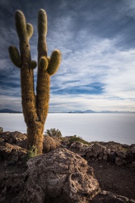 blog_bolpergal_20170424_172323 blog_bolpergal_20170424_172323