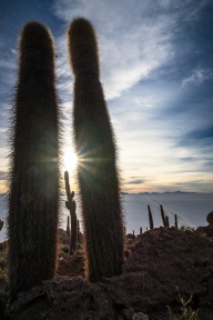 blog_bolpergal_20170424_173033 blog_bolpergal_20170424_173033