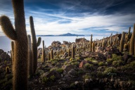 blog_bolpergal_20170424_173429 blog_bolpergal_20170424_173429