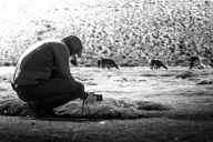 blog_bolpergal_20170425_100642 blog_bolpergal_20170425_100642