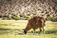 blog_bolpergal_20170425_100746 blog_bolpergal_20170425_100746