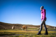 blog_bolpergal_20170425_101210 blog_bolpergal_20170425_101210