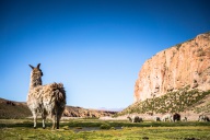 blog_bolpergal_20170425_101550 blog_bolpergal_20170425_101550