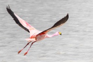 blog_bolpergal_20170425_140934 blog_bolpergal_20170425_140934