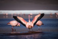 blog_bolpergal_20170425_160907 blog_bolpergal_20170425_160907