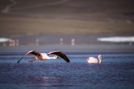 blog_bolpergal_20170425_161120 blog_bolpergal_20170425_161120