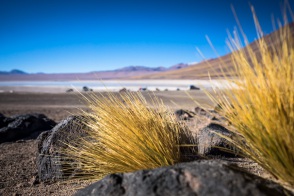 blog_bolpergal_20170426_085249 blog_bolpergal_20170426_085249