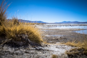 blog_bolpergal_20170426_095029 blog_bolpergal_20170426_095029