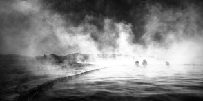 blog_bolpergal_20170426_095438 blog_bolpergal_20170426_095438