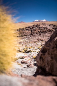 blog_bolpergal_20170426_111846 blog_bolpergal_20170426_111846