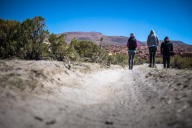 blog_bolpergal_20170426_131320 blog_bolpergal_20170426_131320