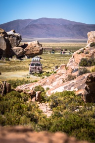 blog_bolpergal_20170426_134034 blog_bolpergal_20170426_134034