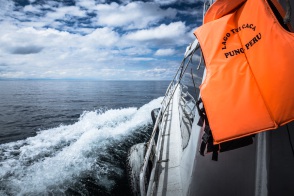 blog_bolpergal_20170429_115709 blog_bolpergal_20170429_115709