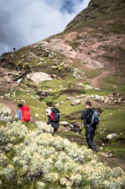 blog_bolpergal_20170501_083853 blog_bolpergal_20170501_083853